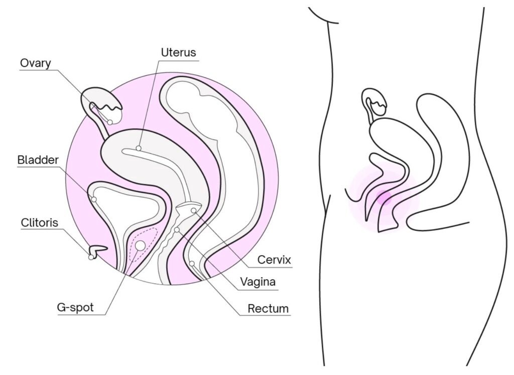 G-Spot Position